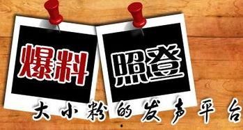 怎么爆料当地新闻的人,如何成为一线记者的幕后英雄